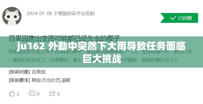 ju162 外勤中突然下大雨导致任务面临巨大挑战