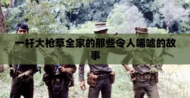 一杆大枪草全家的那些令人唏嘘的故事