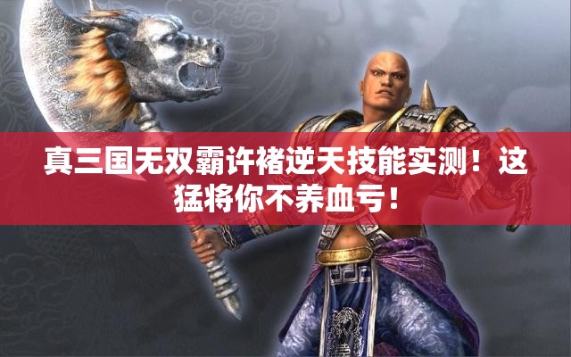 真三国无双霸许褚逆天技能实测！这猛将你不养血亏！